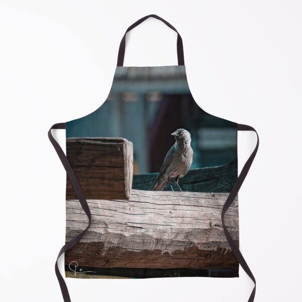 Item preview, Jackdaw designed and sold by Strifey7.