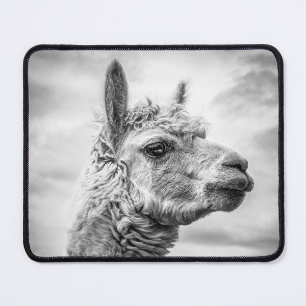 Item preview, Monochrome profile portrait of a Suri alpaca.   designed and sold by bailey-cooper.