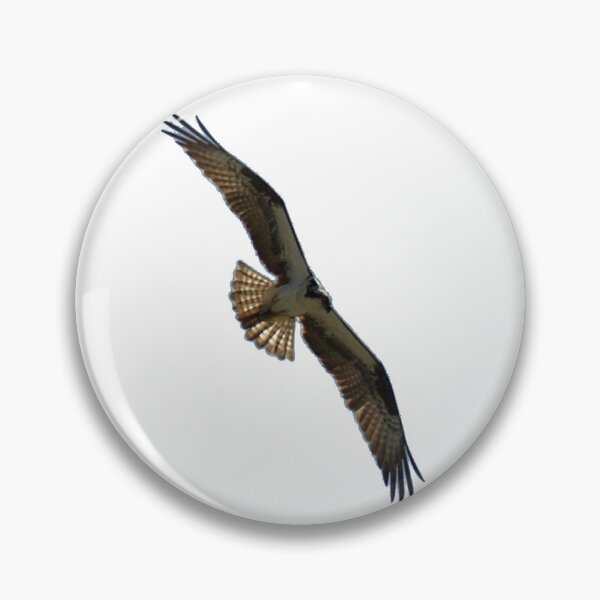 Item preview, Osprey in Flight - Wild Bird Photography designed and sold by SavvySeller.