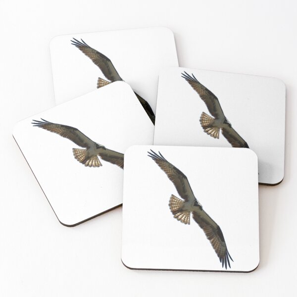 Item preview, Osprey in Flight - Wild Bird Photography designed and sold by SavvySeller.