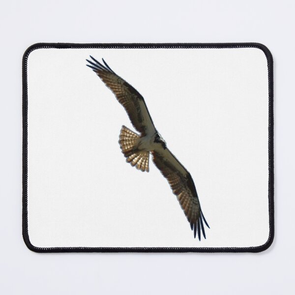 Item preview, Osprey in Flight - Wild Bird Photography designed and sold by SavvySeller.