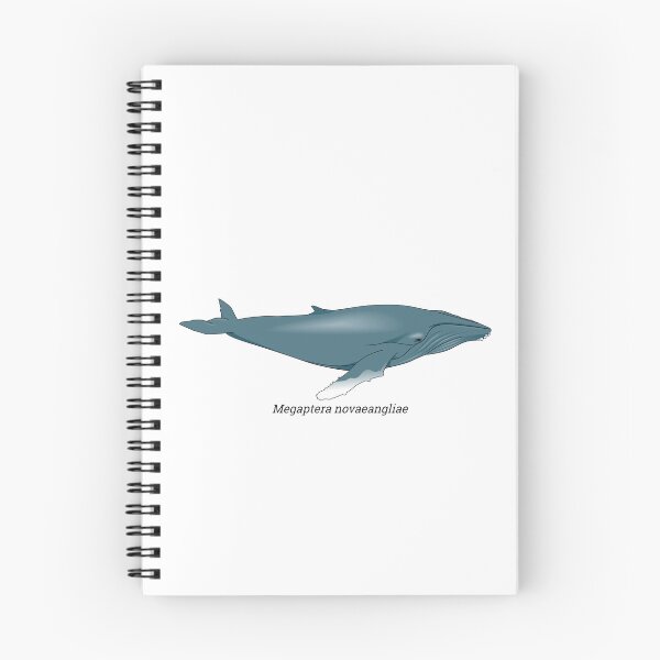 Item preview, Megaptera - Humpback Whale designed and sold by Wittylot.