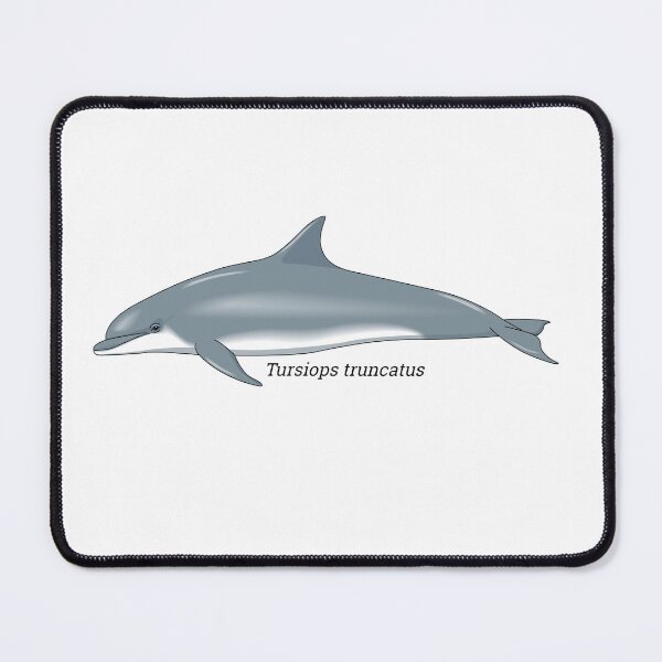 Item preview, Tursiops - Bottlenose Dolphin designed and sold by Wittylot.