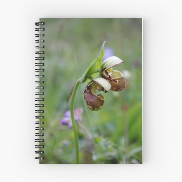 Item preview, Double Lady Slipper designed and sold by Amy Dandridge.