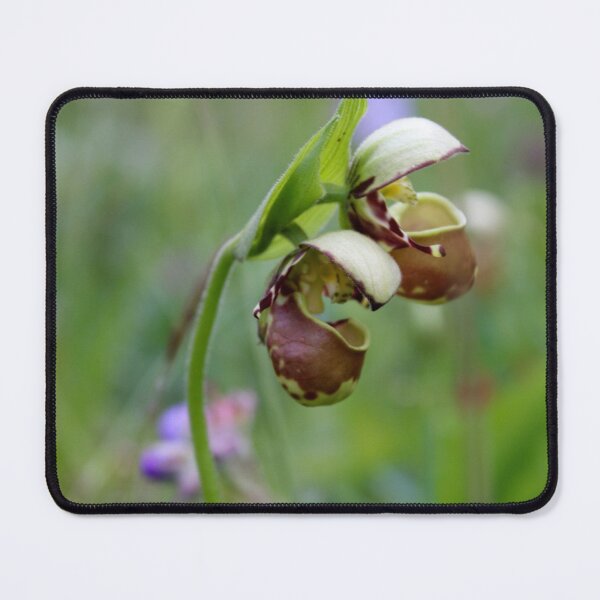 Item preview, Double Lady Slipper designed and sold by Amy Dandridge.
