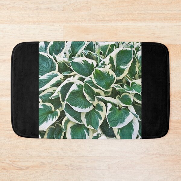Item preview, Gorgeous Minuteman Hosta Plant Graphic designed and sold by stockal-fredia.
