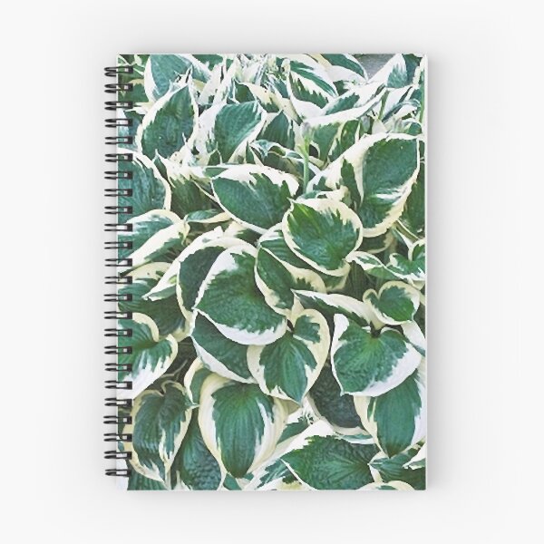 Item preview, Gorgeous Minuteman Hosta Plant Graphic designed and sold by stockal-fredia.
