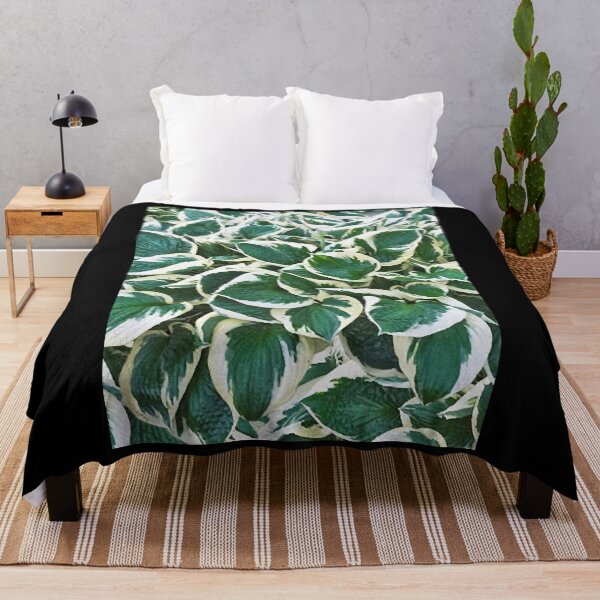 Item preview, Gorgeous Minuteman Hosta Plant Graphic designed and sold by stockal-fredia.