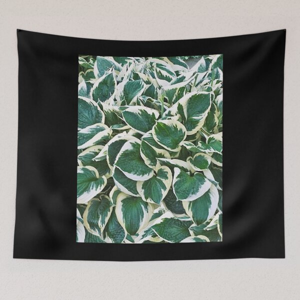 Item preview, Gorgeous Minuteman Hosta Plant Graphic designed and sold by stockal-fredia.
