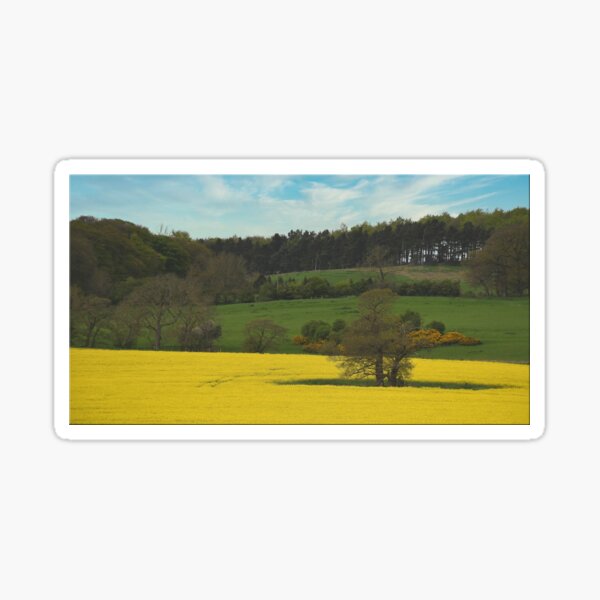 Item preview, Raby Castle County Durham designed and sold by David Vincent.