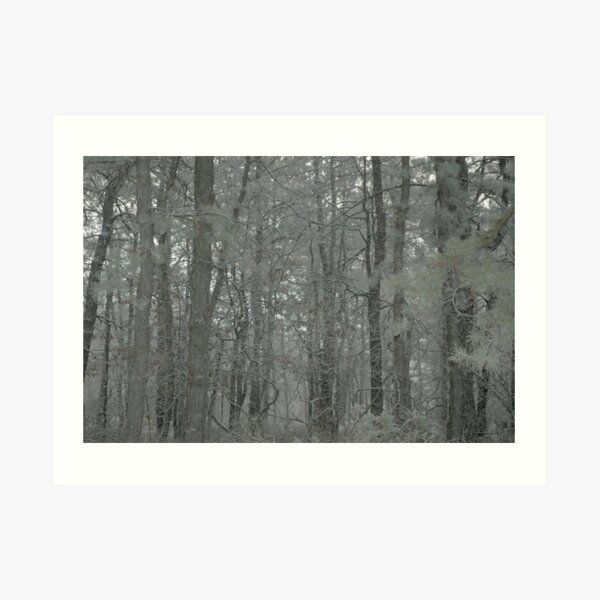 Lost in the Fog Art Print