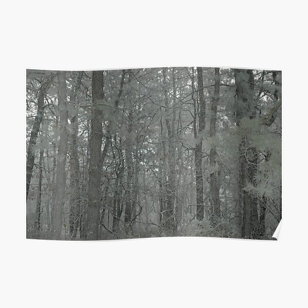 Lost in the Fog Poster