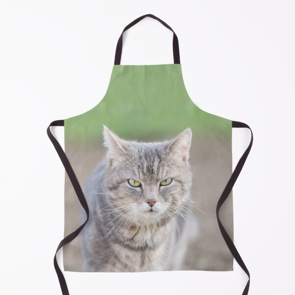 Item preview, Gray tomcat with a strict look, funny cat designed and sold by StohlerPhotos.