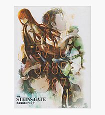 Steins Gate Photographic Print