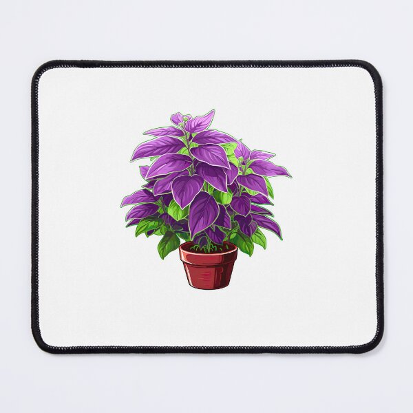 Item preview, Basil Plant designed and sold by ImageTcraft.
