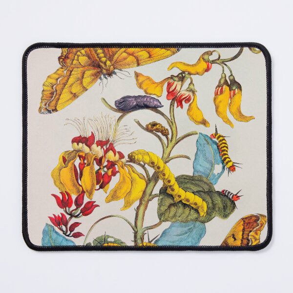 Item preview, Antique scientific illustration of metamorphosis. Yellow designed and sold by scientiafemina.