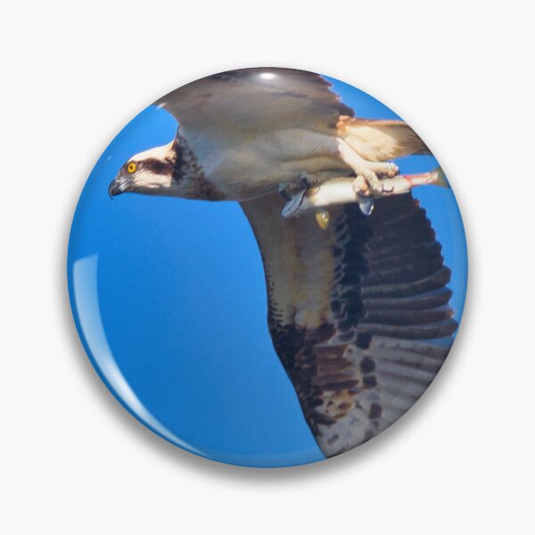 Item preview, Osprey with his lunch  designed and sold by TheoPhotoraphy.