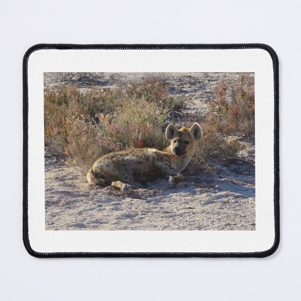 Item preview, Hyena - Namibia wildlife photography designed and sold by Vik-Ink.