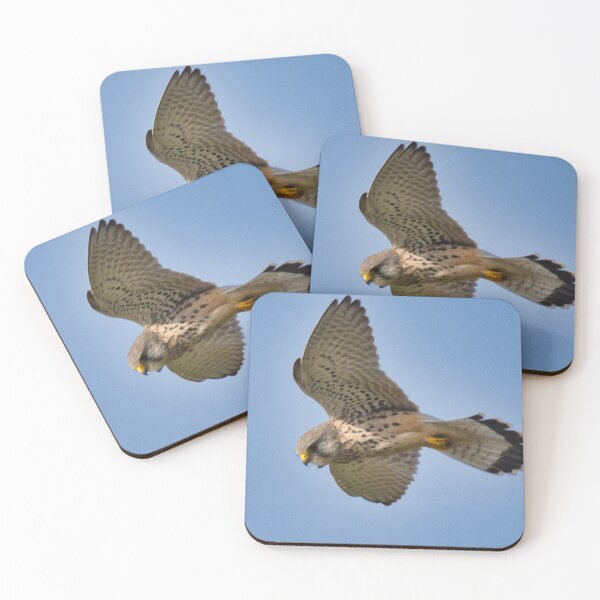 Item preview, Kestrel  designed and sold by TheoPhotoraphy.