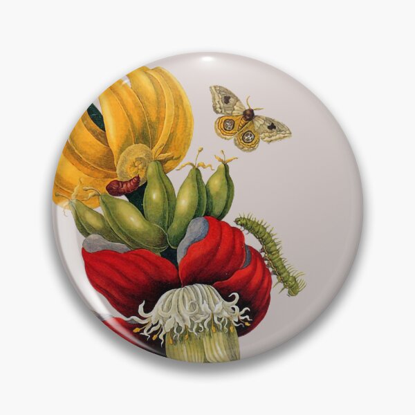 Item preview, Copia de Antique scientific illustration of metamorphosis. Bananas designed and sold by scientiafemina.