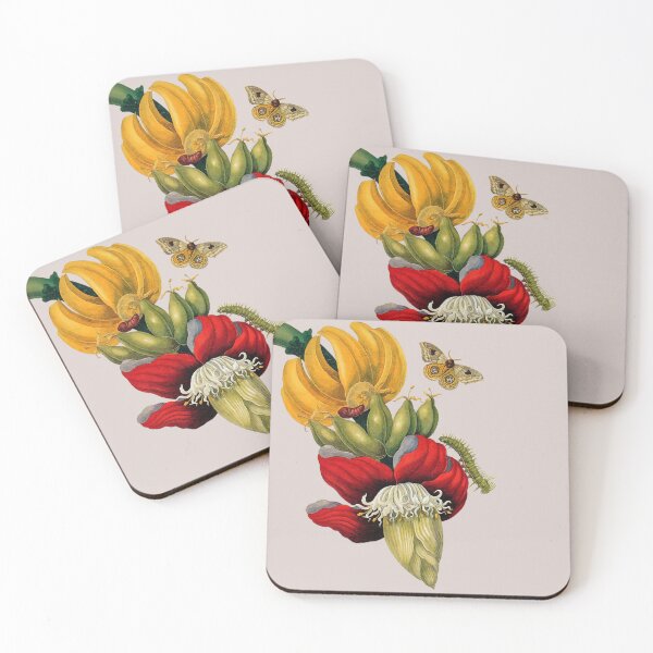 Item preview, Copia de Antique scientific illustration of metamorphosis. Bananas designed and sold by scientiafemina.
