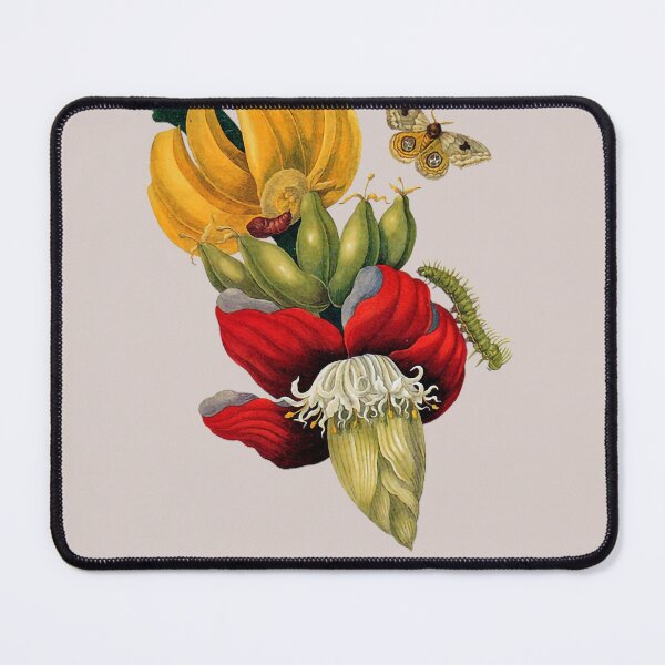 Item preview, Copia de Antique scientific illustration of metamorphosis. Bananas designed and sold by scientiafemina.