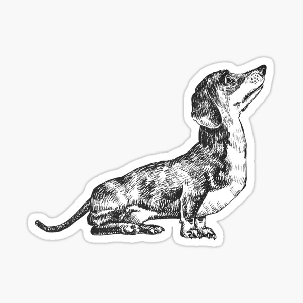 Item preview, Dachshund Drawing designed and sold by Karie Luidens.