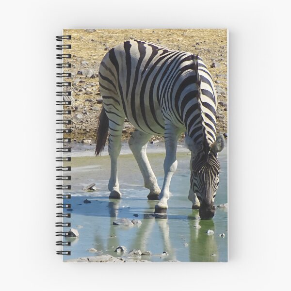 Item preview, zebra drinking at waterhole - Etosha, Namibia wildlife photography designed and sold by Vik-Ink.