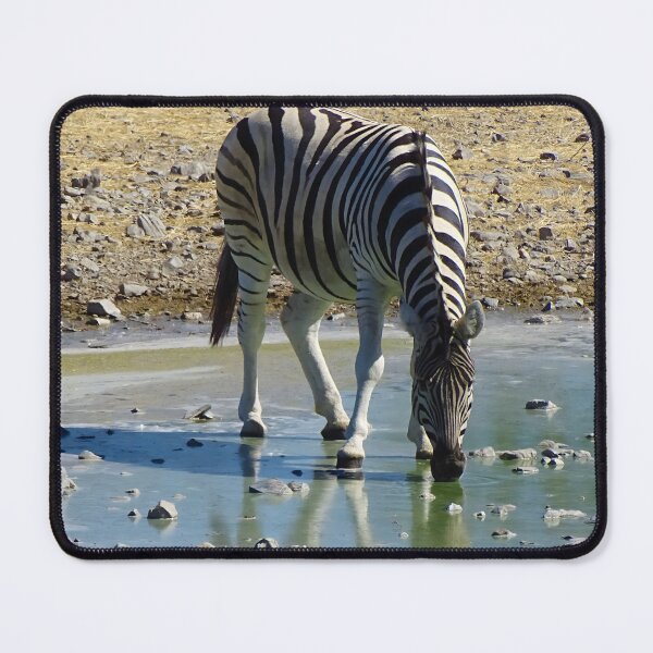 Aperçu de l'œuvre zèbre buvant au point d'eau - Photographie animalière à Etosha, Namibie créée et vendue par Vik-Ink.