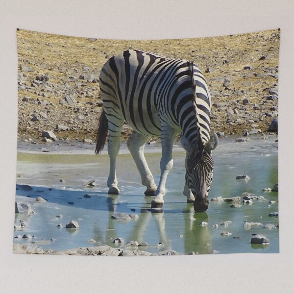 Item preview, zebra drinking at waterhole - Etosha, Namibia wildlife photography designed and sold by Vik-Ink.