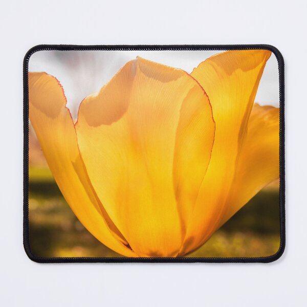 Item preview, Bathed In Gold designed and sold by Jim Love.