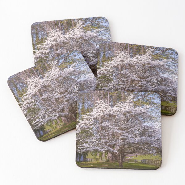 Item preview, Dogwood Glory designed and sold by Jim Love.
