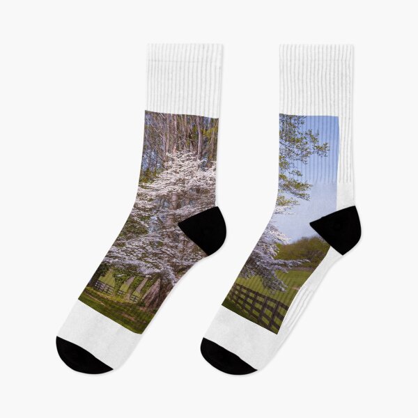 Item preview, Dogwood Glory designed and sold by Jim Love.