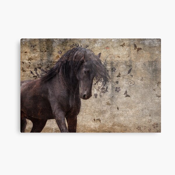 When you have a dream Metal Print