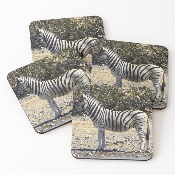 Aperçu de l'œuvre Zebra - Etosha, Namibie photographie animalière créée et vendue par Vik-Ink.