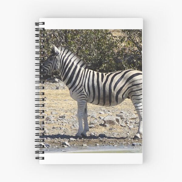 Item preview, Zebra - Etosha, Namibia wildlife photography designed and sold by Vik-Ink.