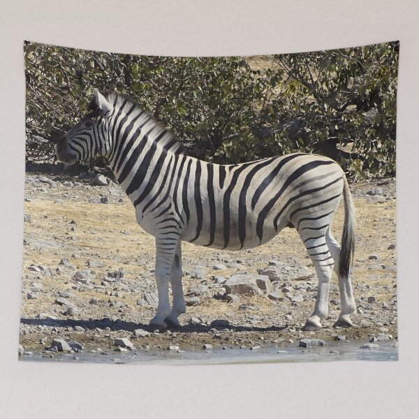 Item preview, Zebra - Etosha, Namibia wildlife photography designed and sold by Vik-Ink.