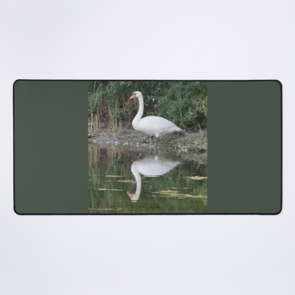 Aperçu de l'œuvre Le cygne en miroir créée et vendue par CamphuijsenArt.