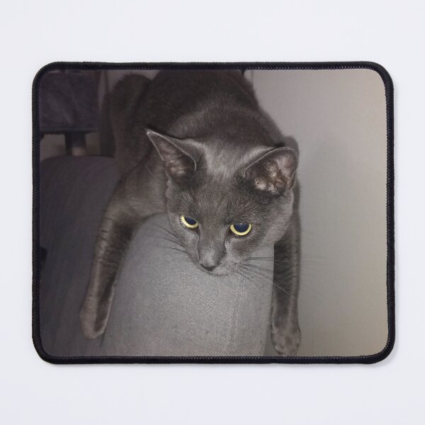 Item preview, #293 |☼| Monorail Mimi - Shot 2 (Cats) designed and sold by Naean H.F. (Nez Man).