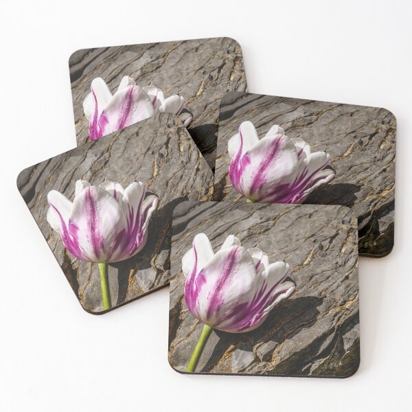 Item preview, Strata designed and sold by Jim Love.