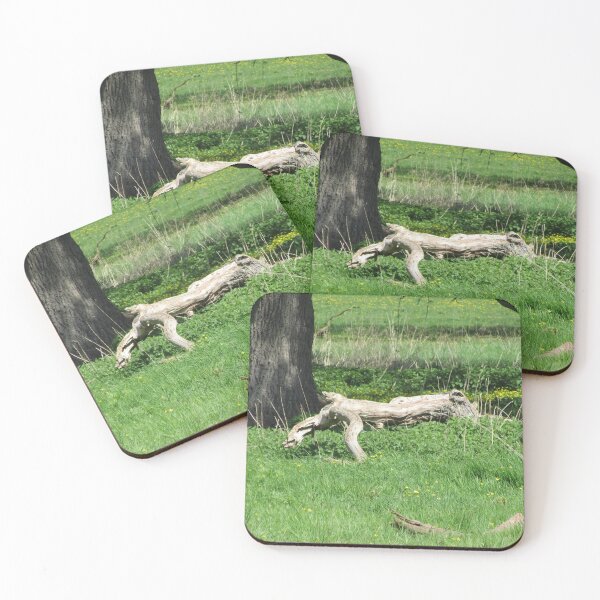 Item preview, Dog-Wood designed and sold by lezvee.