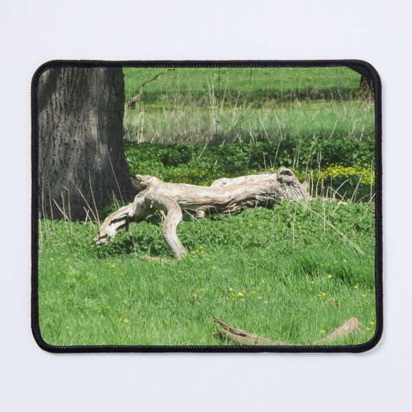 Item preview, Dog-Wood designed and sold by lezvee.