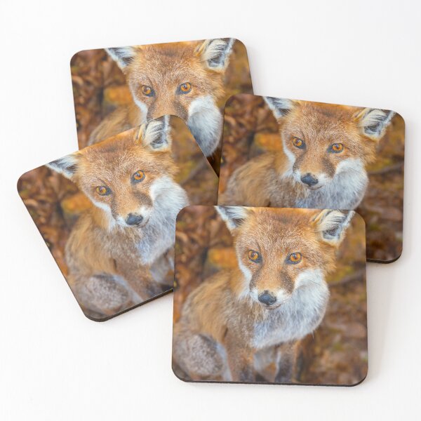 Item preview, Foxy Foxy designed and sold by StephenRphoto.