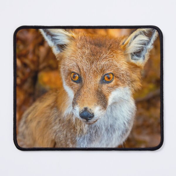 Item preview, Foxy Foxy designed and sold by StephenRphoto.
