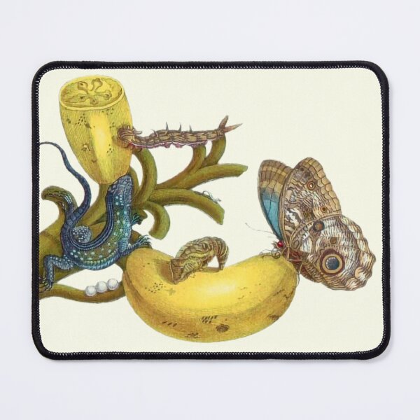 Item preview, Antique scientific illustration of animals in a banana plant designed and sold by scientiafemina.