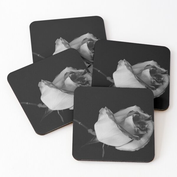 Item preview, Fading beauty (black and white) designed and sold by SilverAlbatross.