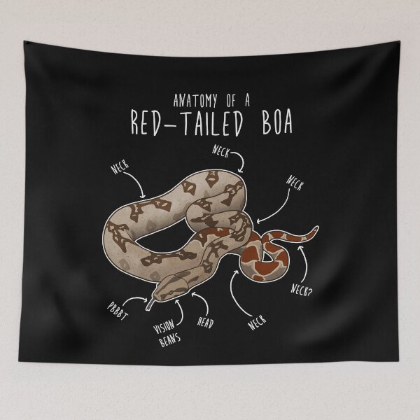 Item preview, Red-Tailed Boa Snake Anatomy designed and sold by Clara Hollins.