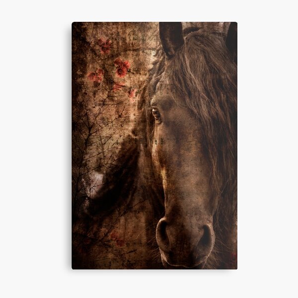 Music of horse Metal Print