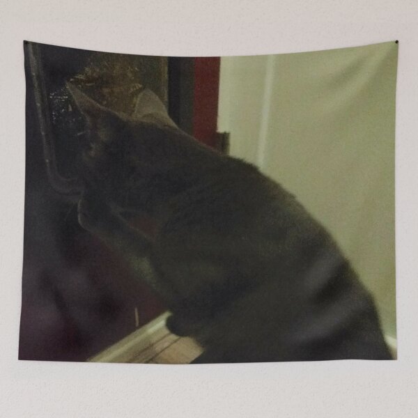 Item preview, #294 |☼| "What's Out There?" - Mimi (Cats) designed and sold by Naean H.F. (Nez Man).