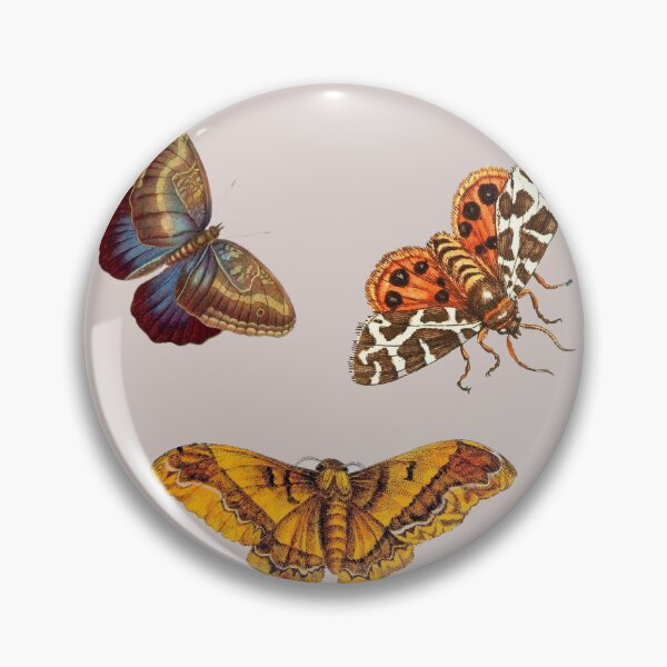 Item preview, Scientific illustration of three tropical butterflies. designed and sold by scientiafemina.